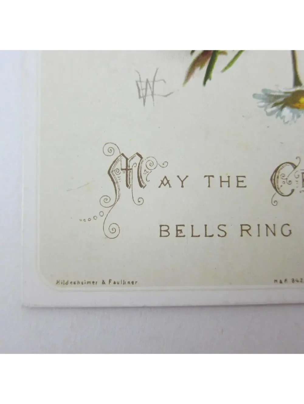 Victorian Christmas Card Hildesheimer & Faulkner White Daisy Flowers Antique